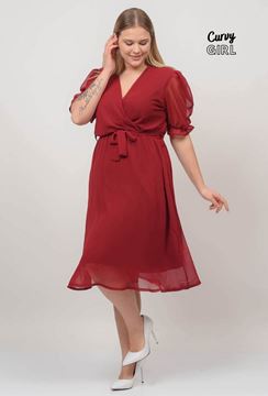 Picture of CURVY GIRL CHIFFON ELEGANT  DRESS